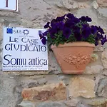 S'omu Antiga Nureci