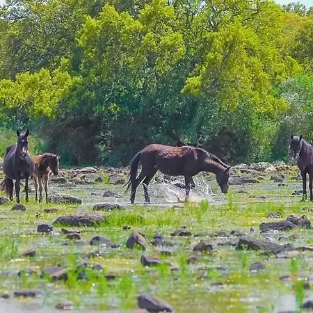 Bed & Breakfast S'omu Antiga