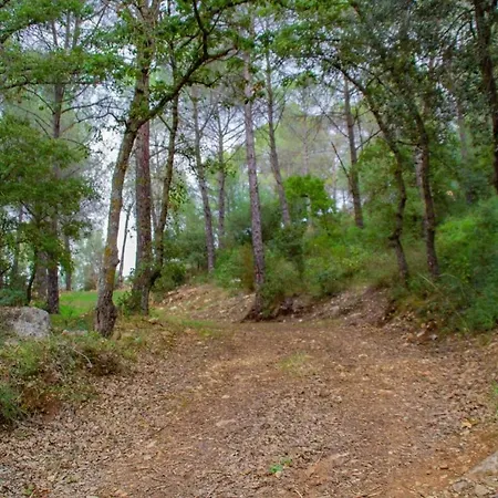 Nocleg ze śniadaniem S'omu Antiga Nureci