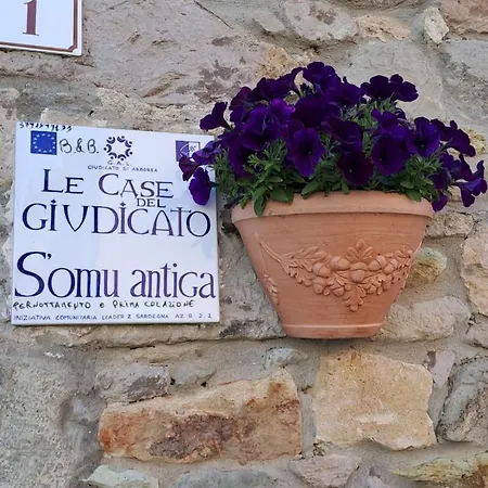 S'omu Antiga Nureci
