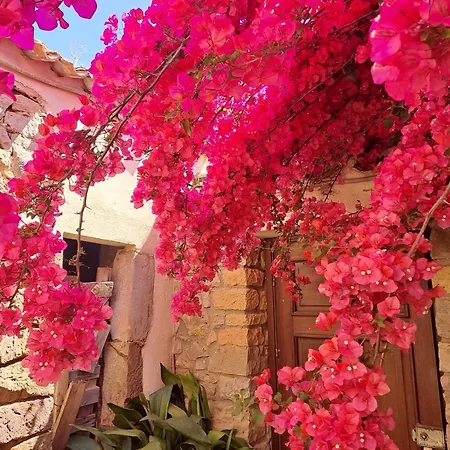 S'omu Antiga Nocleg ze śniadaniem 3*