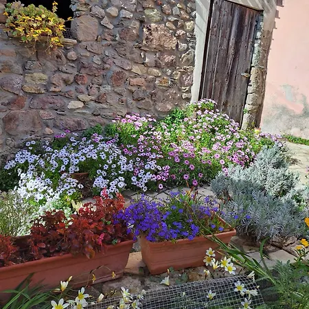 S'omu Antiga Bed & Breakfast