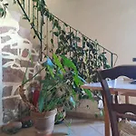 S'omu Antiga Nureci